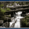 play Forest Waterfall