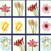 play Quickpic 2005