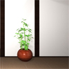 play Kalaquli