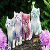 play Cute Kittens Slide Puzzle