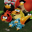 play Angry Birds Save