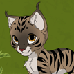 play Cat Make Up