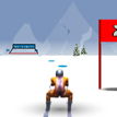 Ski Slalom