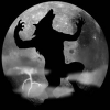 play Werewolf Find Numbers