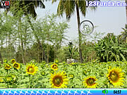 play Hidden Stars Farm