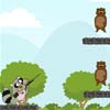 play Crazy Racoon Player Pack