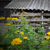 play Skutnik: Garden Door