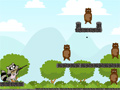 play Crazy Racoon Player Pack