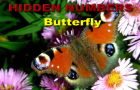 play Hidden Numbers - Butterfly