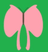 play Butterfly Room Escape