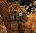 play Tiger Dynasty Quest