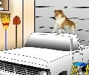 play Animal Shelter Escape 3