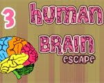 play Human Brain Escape 3