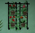 play Gotmail - The Pool