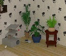 play Escape From Fleas