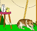 play Animal Shelter Escape 2