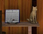 play Escape World Chapter 6: Storage