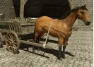 play E 3D: Farmer