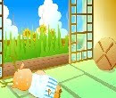 play Summer Escape