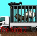 play The Ninja 2