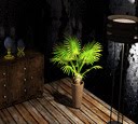 play Dark Autumn Evening