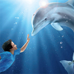 Hidden Numbers - Dolphin Tale