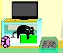 play Escape From The Room With Black Cat