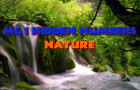 play Mg1 - Hidden Numbers: Nature