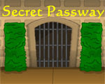 play Secret Passway