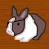 play Save Pirate Bunny