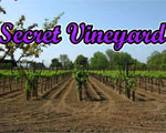 play Secret Vineyard