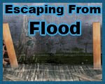 play Escaping From Flood