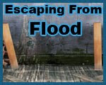 play Escaping From Flood