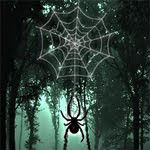play Hidden Spider