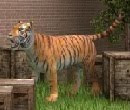 play Escaped Animals