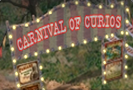 play Carnival Of Curios