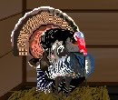 play Gazzyboy Turkey Escape