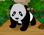 play Gazzyboy Panda Escape