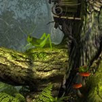 play Hidden Target - Grasshoppers