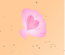 play Summer Lovers