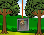 play Gazzyboy Games 2 Escape