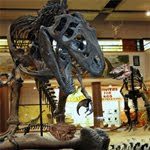 play Hidden Objects - Museum 2