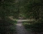play Escape The Haunted Forrest
