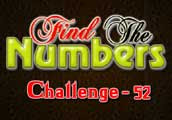 play Find The Numbers Challenge 52