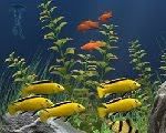 play Hidden Objects - Under Water