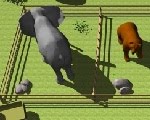 play Escapeheaven Zoo Escape