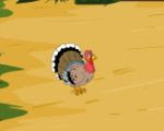 play Turkey Farm Escape