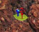 play Wogger Inside Level 5