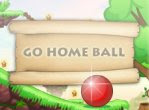 Go Home Ball