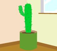 play Cactus Room